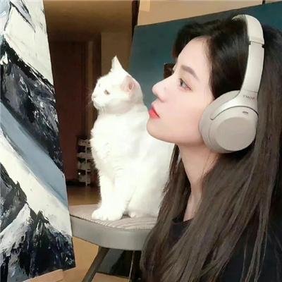 云破月来圆