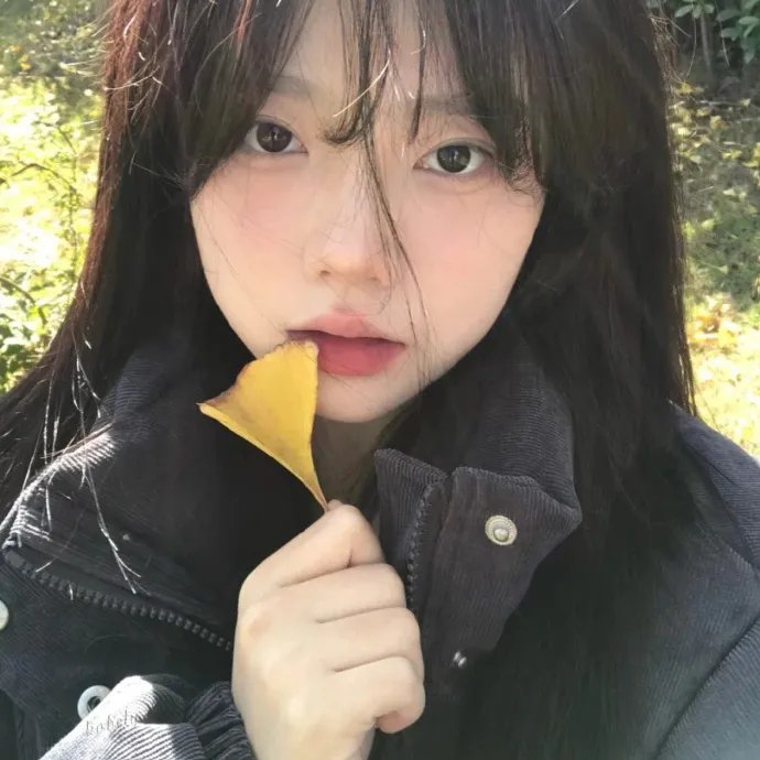 许愿树
